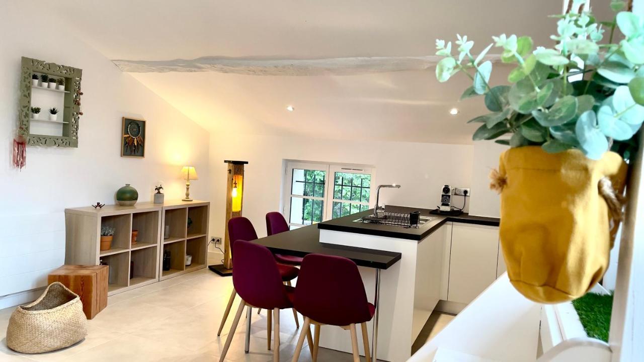 Duplex - Valbonne Village Eksteriør billede