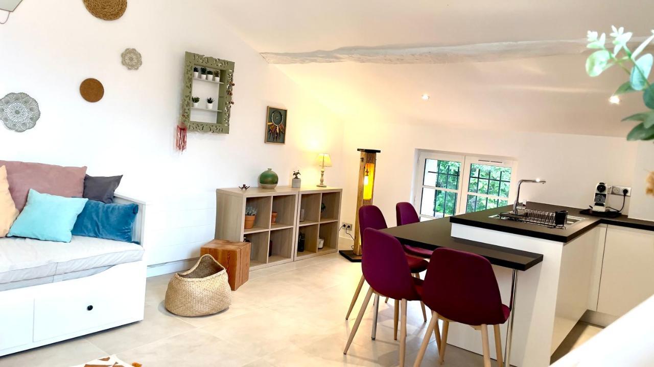 Duplex - Valbonne Village Eksteriør billede